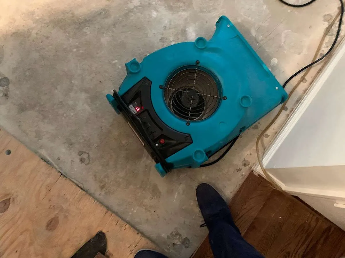 Air mover drying subfloor during Leak Detection & Repair in Vineyard